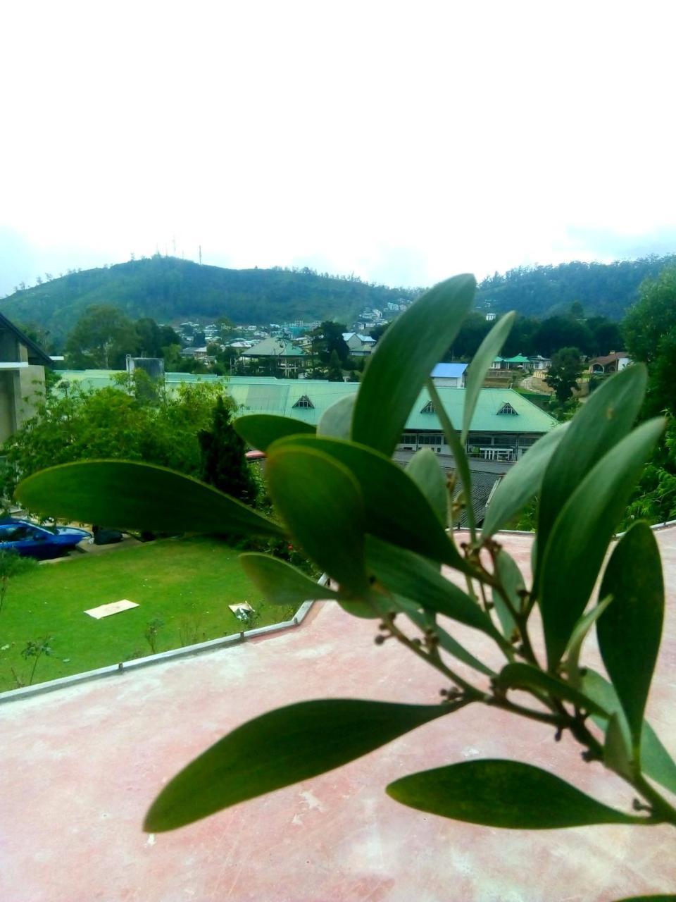 Nuwara Eliya Mountain View Homestay 외부 사진