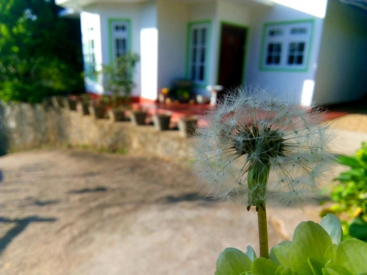 Nuwara Eliya Mountain View Homestay 외부 사진