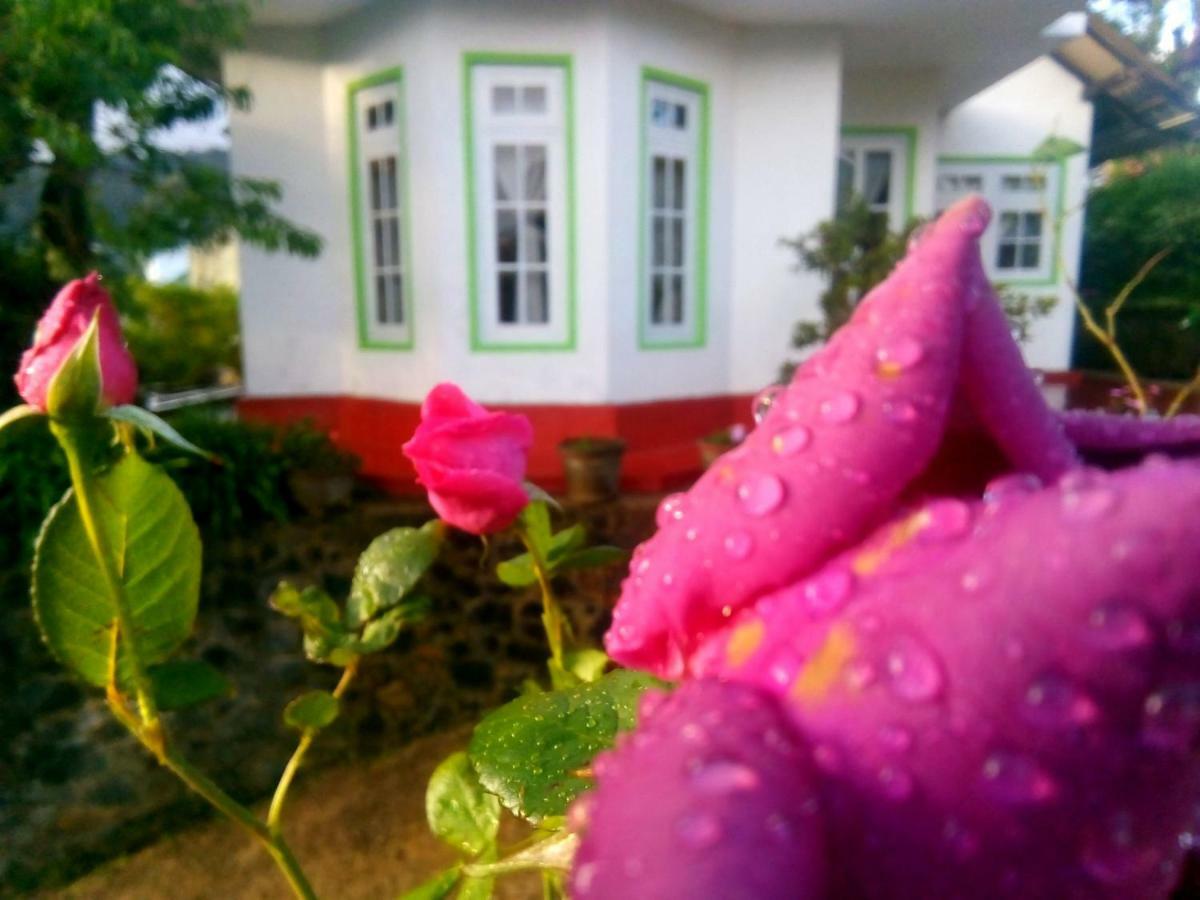 Nuwara Eliya Mountain View Homestay 외부 사진